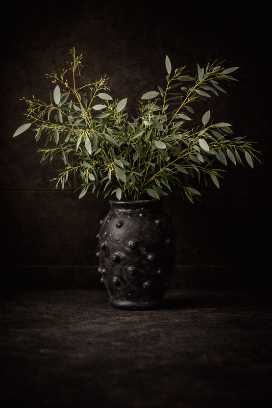 Eucalyptus - rauwe snijtakken