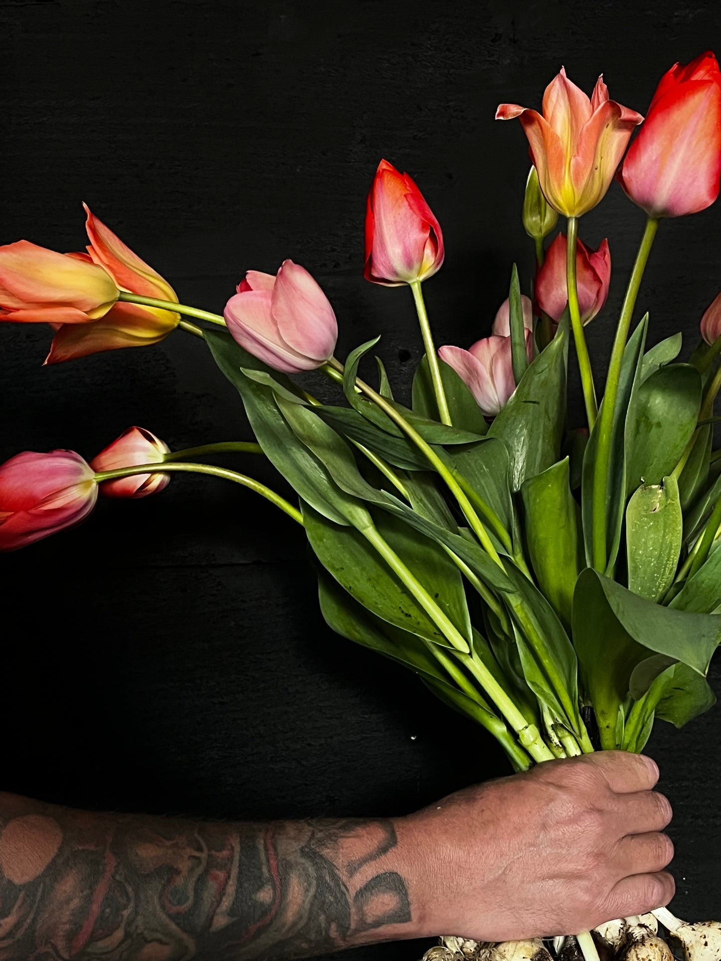 Close-up van de pure kwaliteit van tulpen zonder pesticiden, focus op de natuurlijke groei en textuur van de bloemen van Raw & Pure.