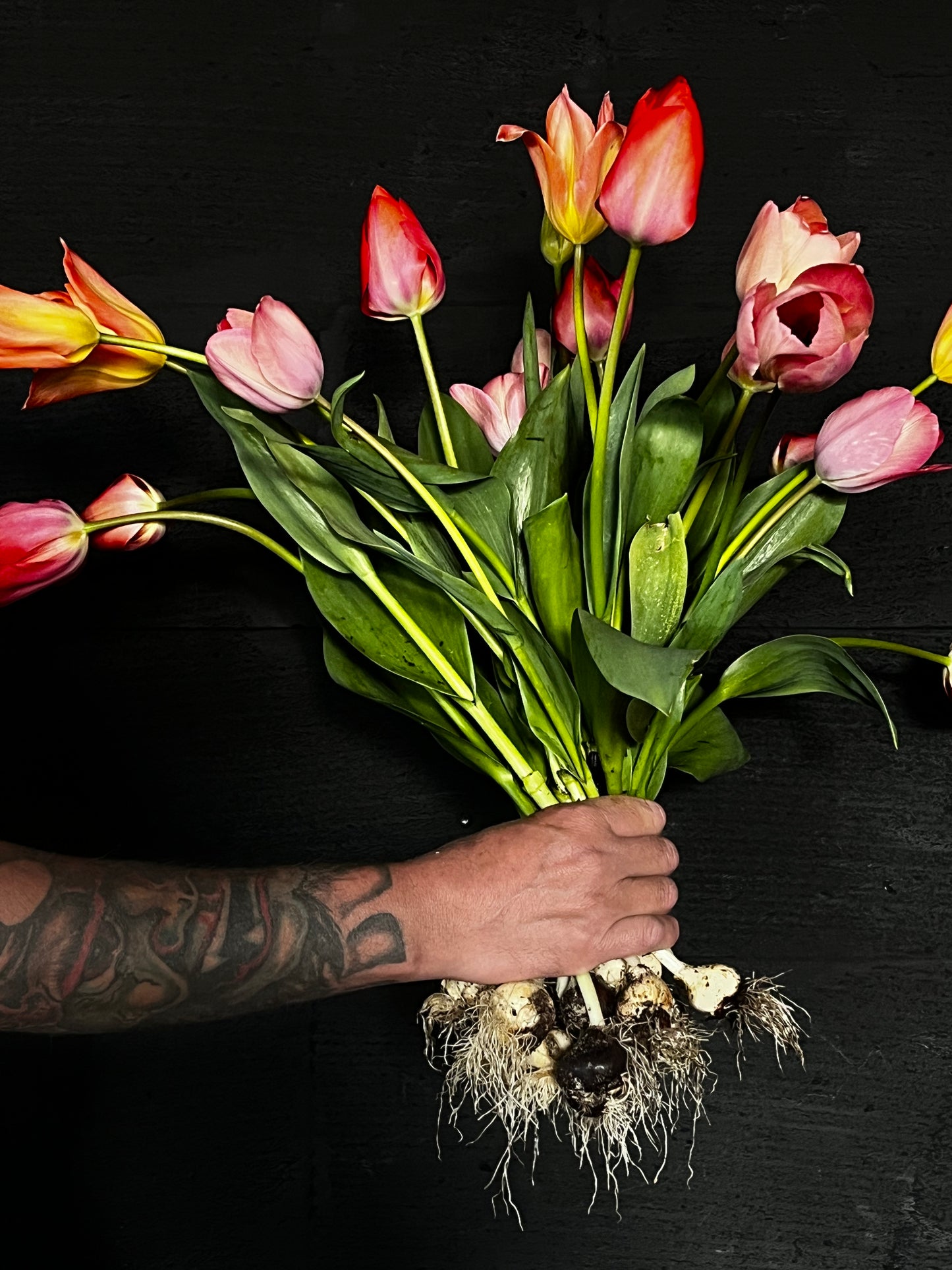 Gifvrije Tulpen — Seizoensbos XL