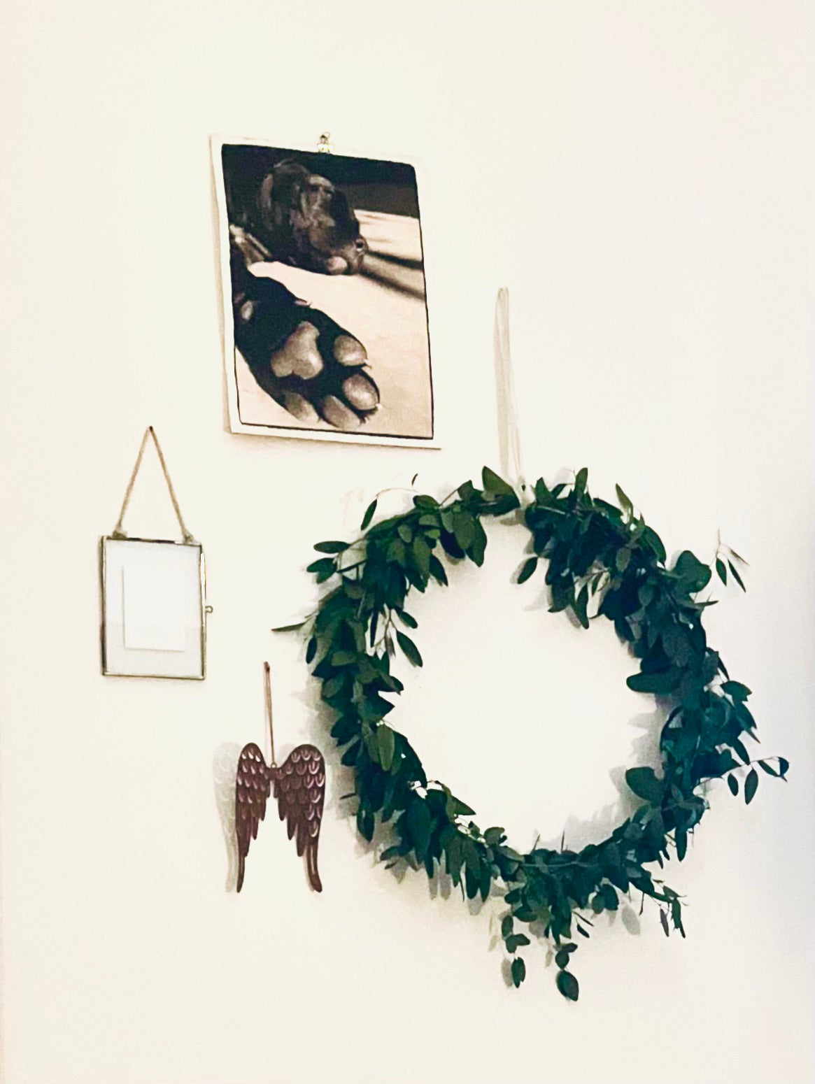 Givrije Kerstkrans Eucalyptus