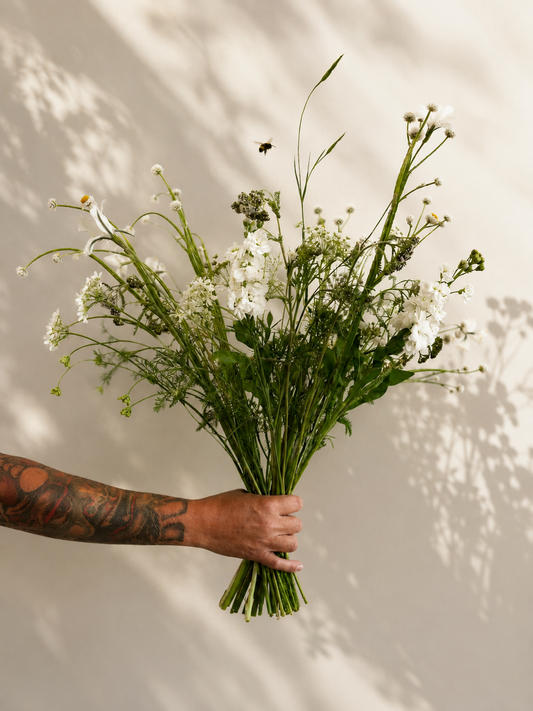 Pure White – Medium